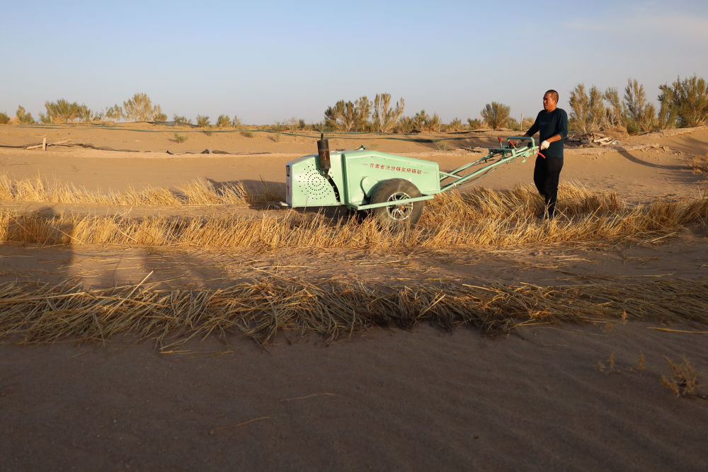 5月31日，武威市民勤县薛百镇农民使用新一代手扶式沙障机压草方格。