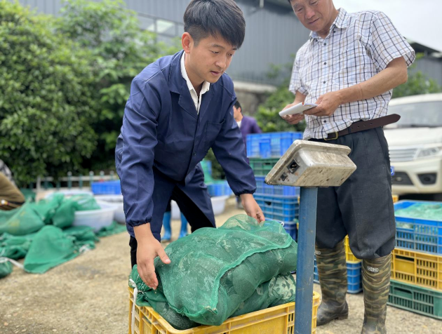 进贤90后甲鱼“专家”姜峰
