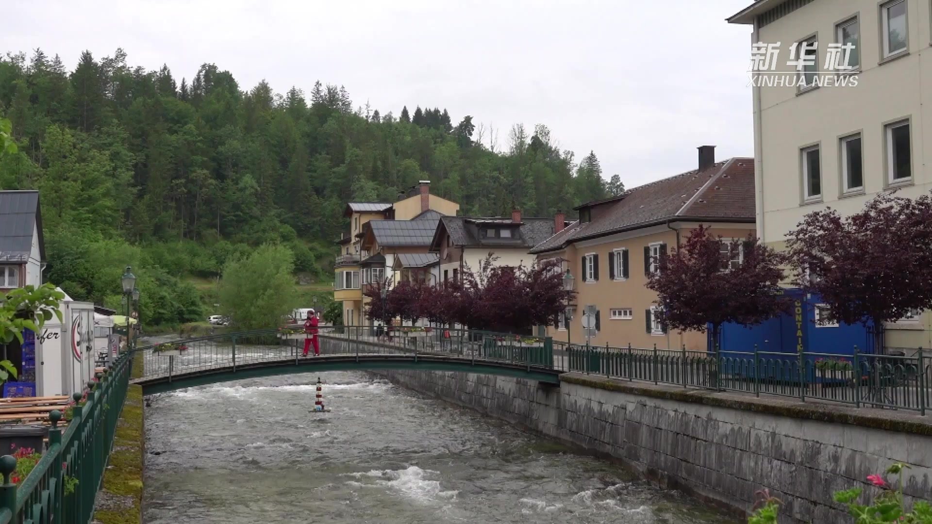 奥地利举行第63届水仙花节