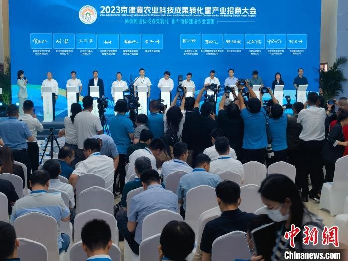 图为签约仪式现场。　吕子豪 摄