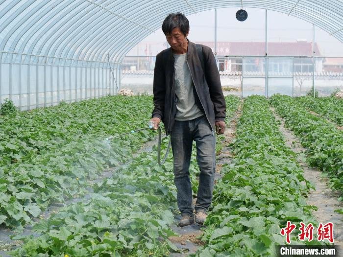 种养结合带加工内蒙古小村庄谋划致富“大”产业