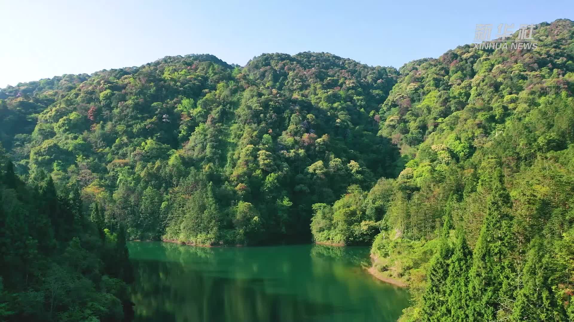 夏日繁花迎风开 绿美大围山入画来