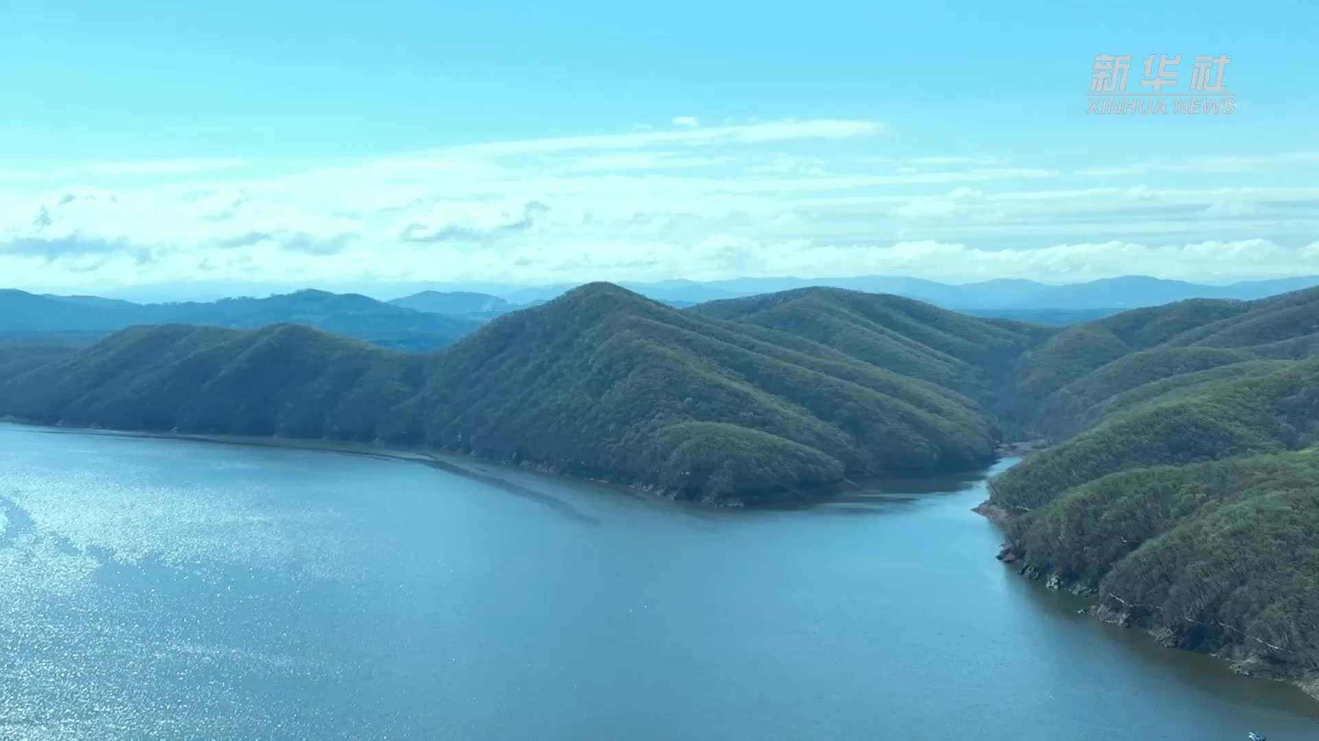 千城胜景｜吉林桦甸：苍鹭共舞 杜鹃盛开