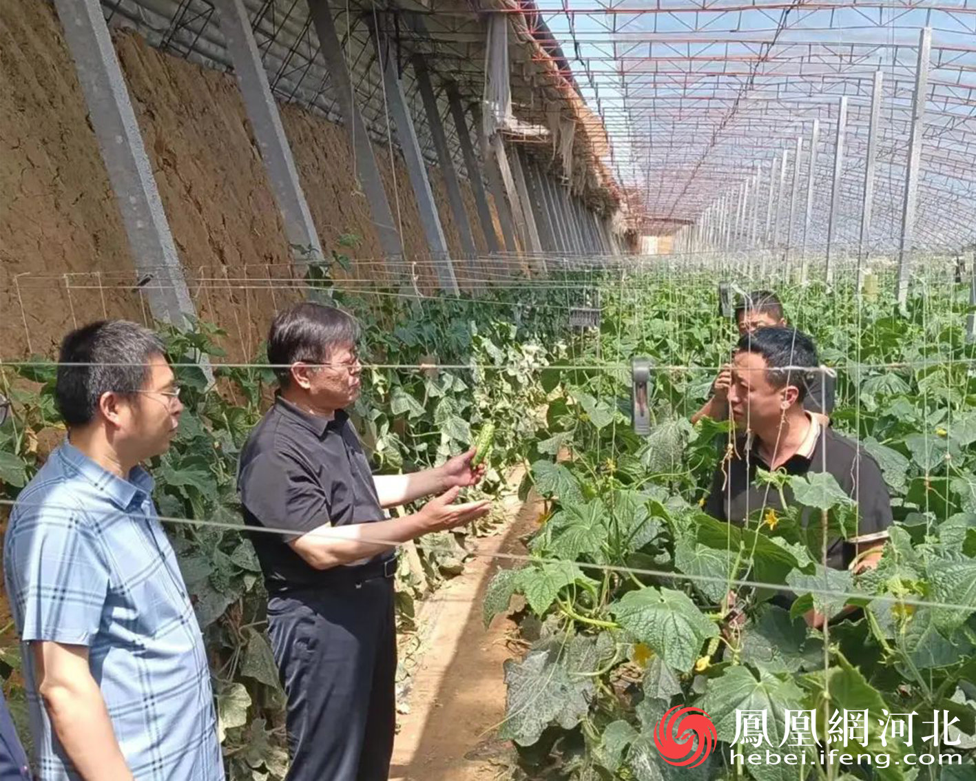 刘泮芳一行到秦皇岛市调研退役军人工作