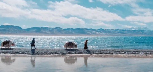 中国银联与三江源生态保护基金会合作共护“中华水塔”