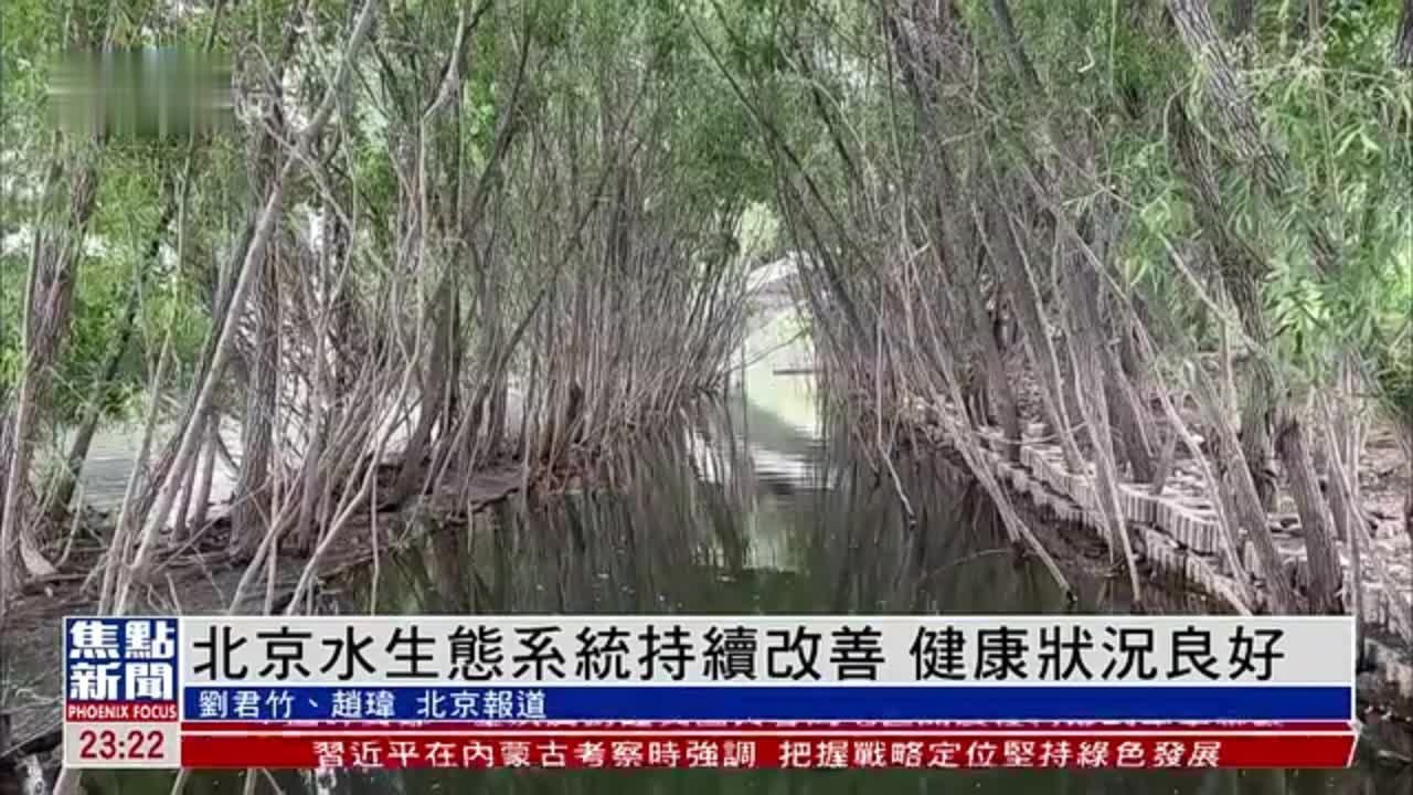 北京水生态系统持续改善 健康状况良好