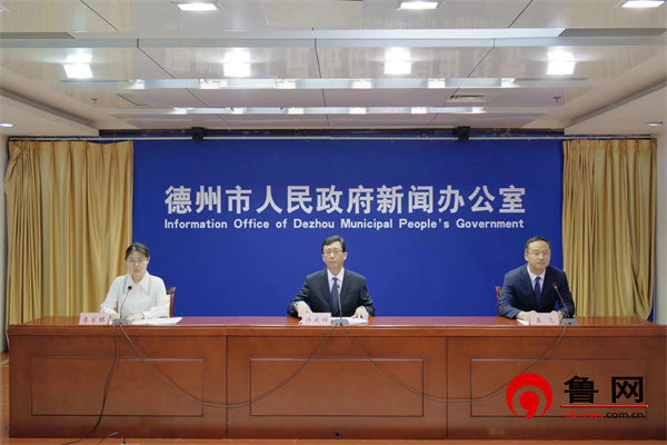 新能源应用走在全省前列 德州市新型电力系统建设取得新突破