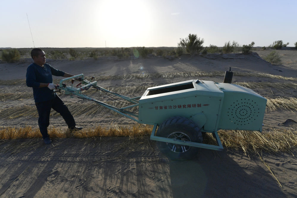 5月31日，武威市民勤县薛百镇农民使用新一代手扶式沙障机压草方格。