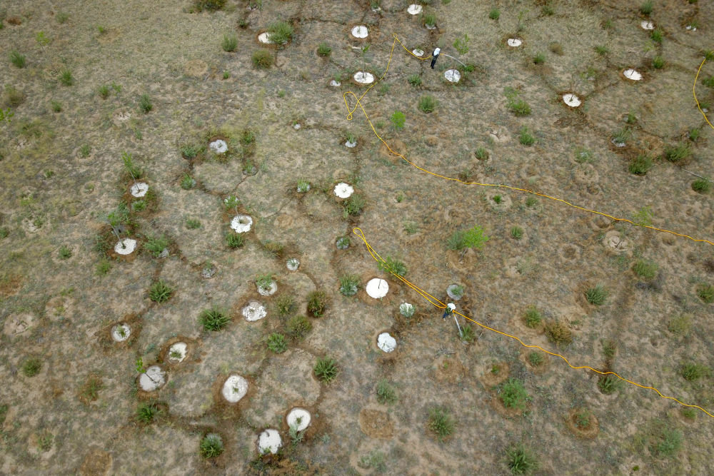 6月2日，在武威市古浪县，八步沙林场职工给一片梭梭林浇水（无人机照片）。