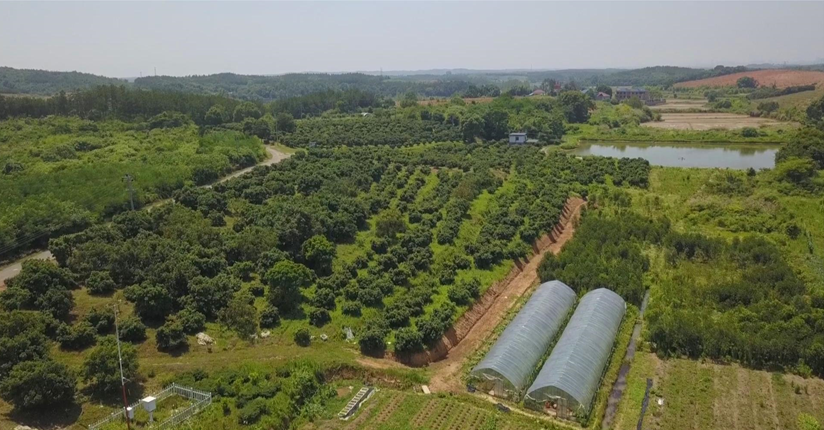 共青城市泽泉乡金牛生态园