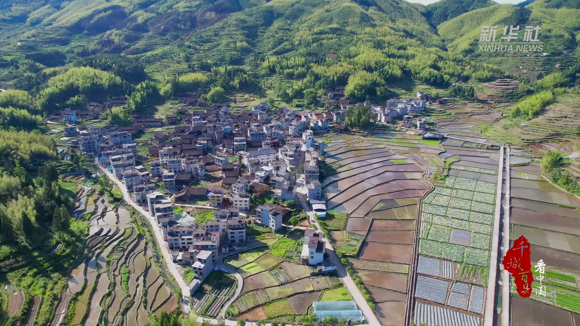 千城百县看中国|福建寿宁:水稻插秧忙 沃野披绿装_凤凰网视频_凤凰网