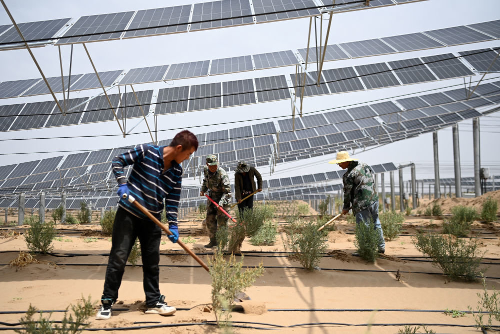 6月1日，工人在武威市凉州区九墩滩光伏治沙示范园区管护喷灌管道。