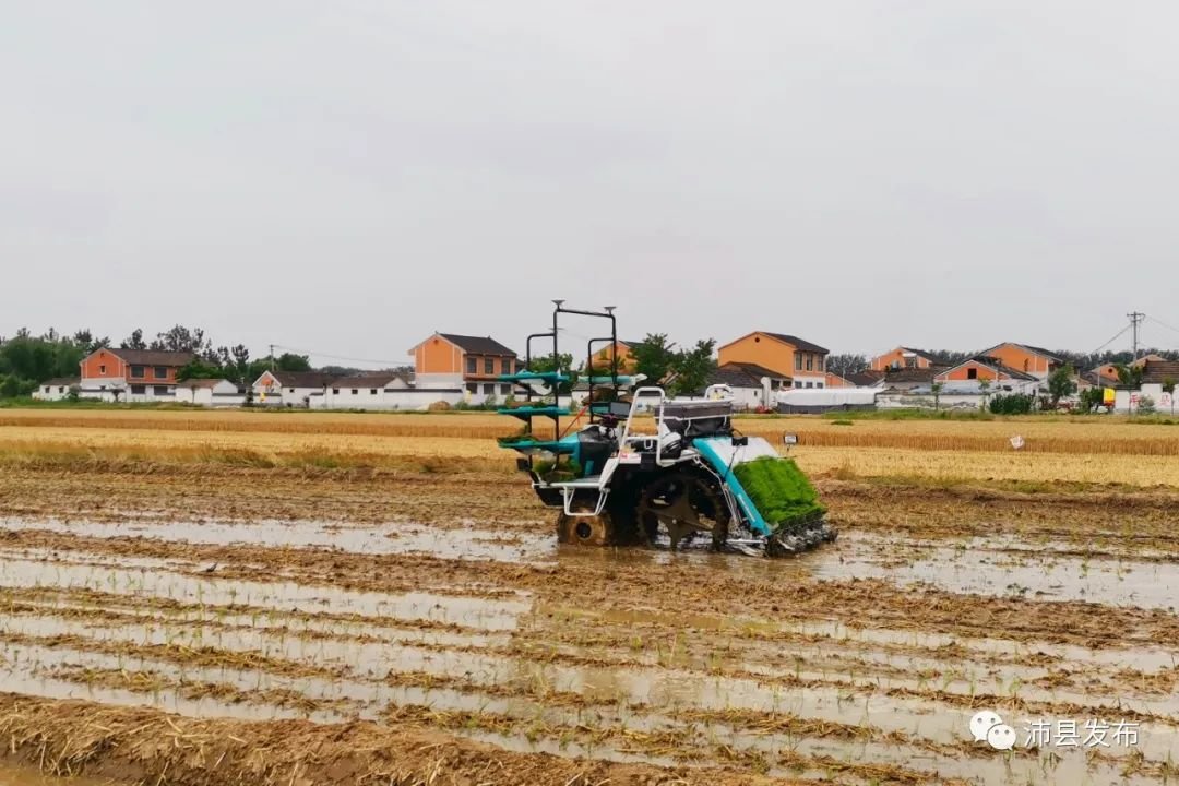 沛县田间用上“黑科技” 农机无人驾驶自动作业