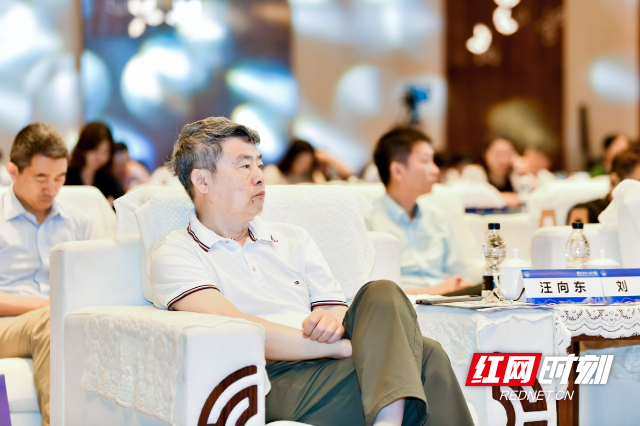 汪向东教授在首届数字商务湘江论坛中倾听演讲