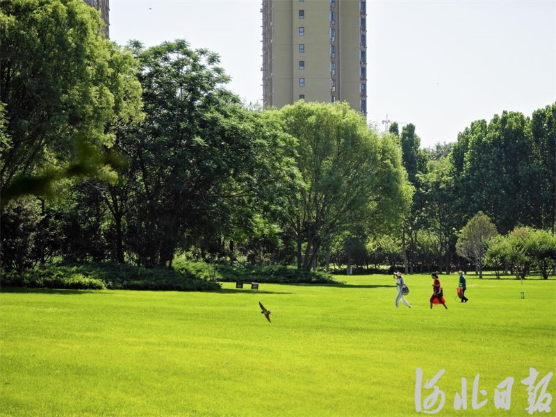石家庄903块城市公共绿地全部开放4.jpg