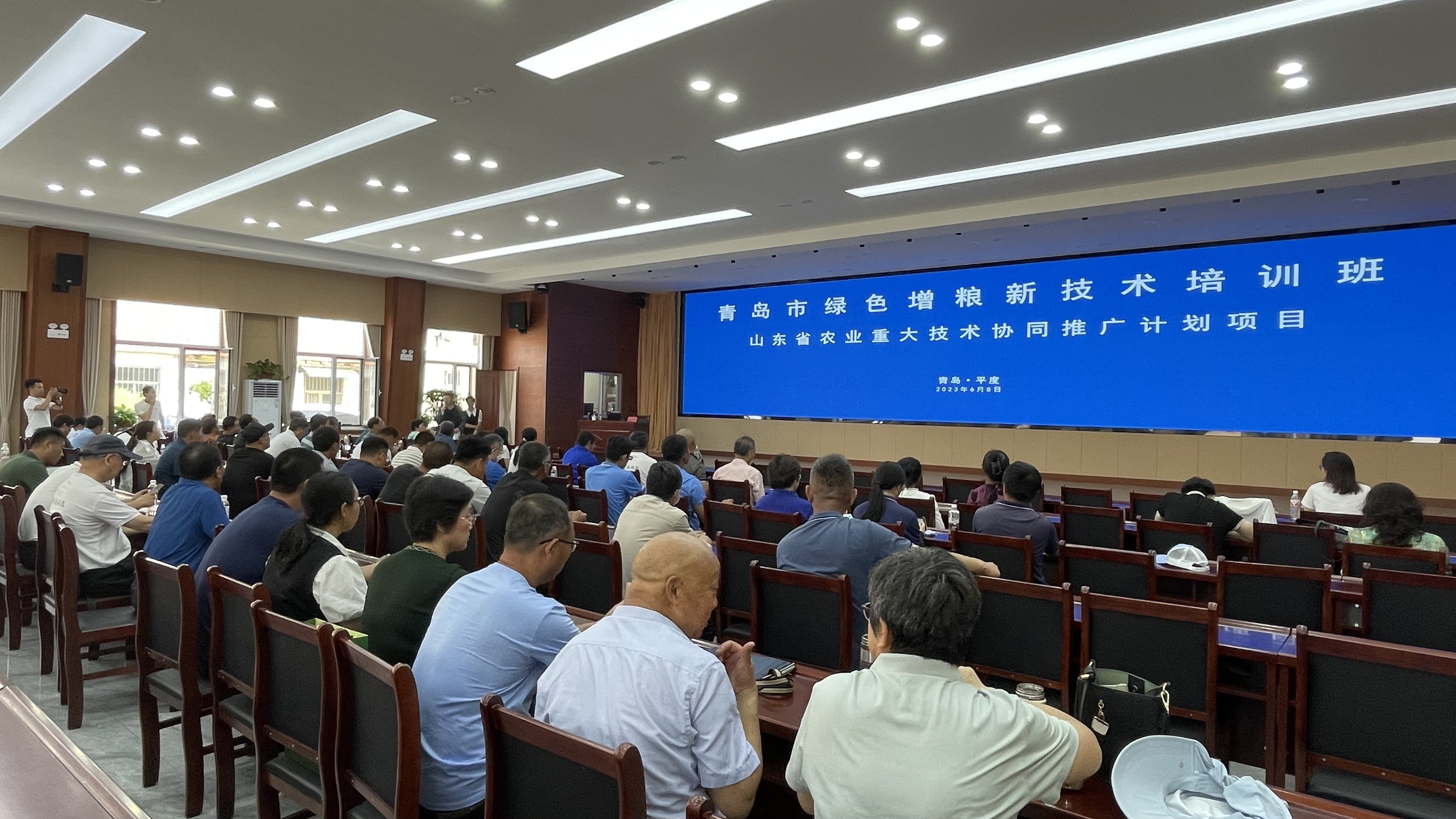 麦收时节话丰收 解密青岛绿色增粮背后的科技密码