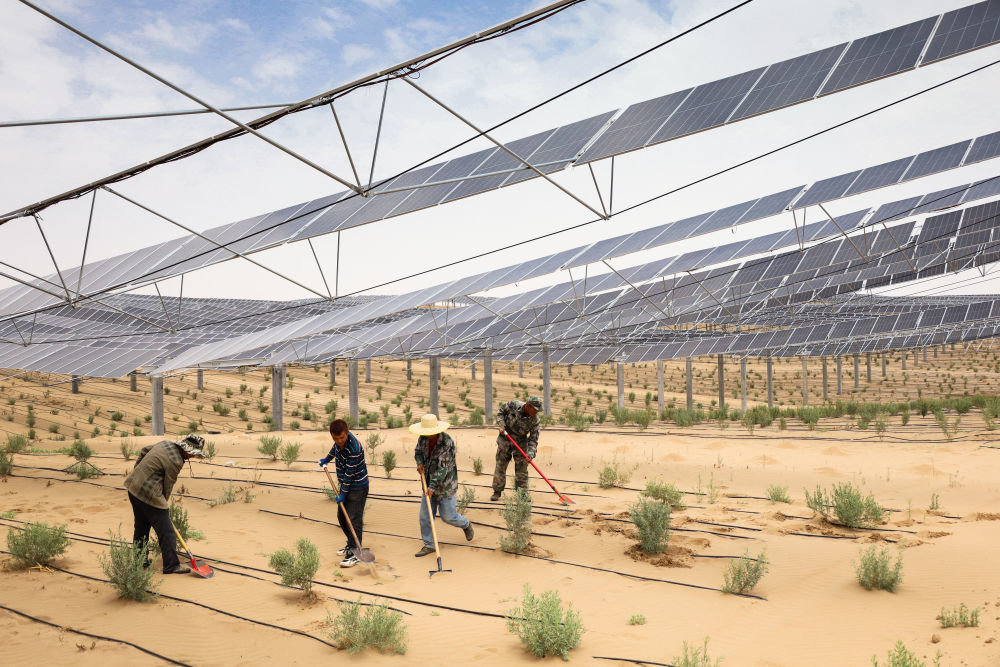 6月1日，工人在武威市凉州区九墩滩光伏治沙示范园区管护喷灌管道。