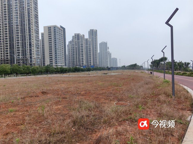 赣江市民公园四期地块杂草丛生 土地裸露