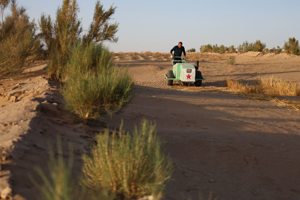 5月31日，武威市民勤县薛百镇农民使用新一代手扶式沙障机压草方格。