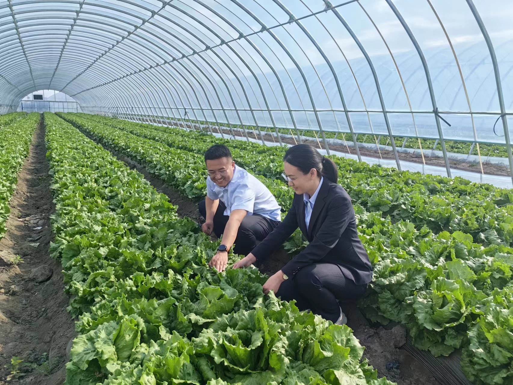 学用新思想 实践建新功|中国银行河北省分行为乡村振兴注入“金融活水”