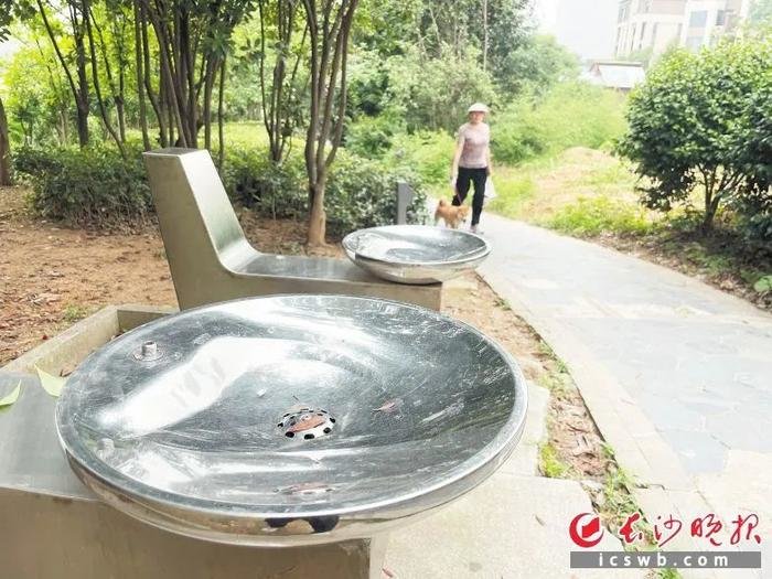 在梅溪湖南岸,直饮水点的两个饮水龙头都已缺失。图片均由长沙晚报全媒体记者 聂映荣 摄