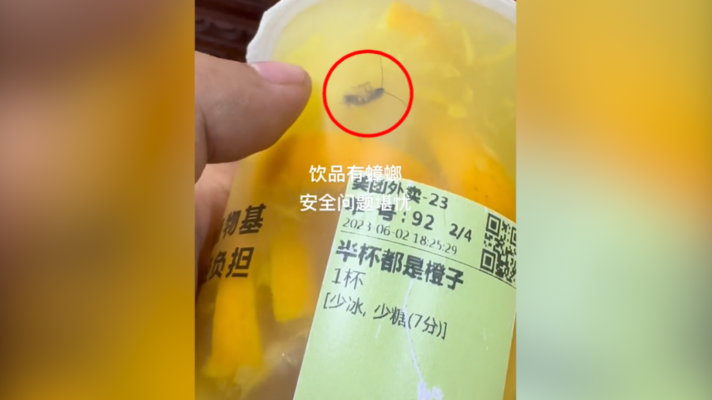 网友称书亦烧仙草桂林一门店饮品有蟑螂，品牌投诉热线：已收到相关投诉，专员正处理