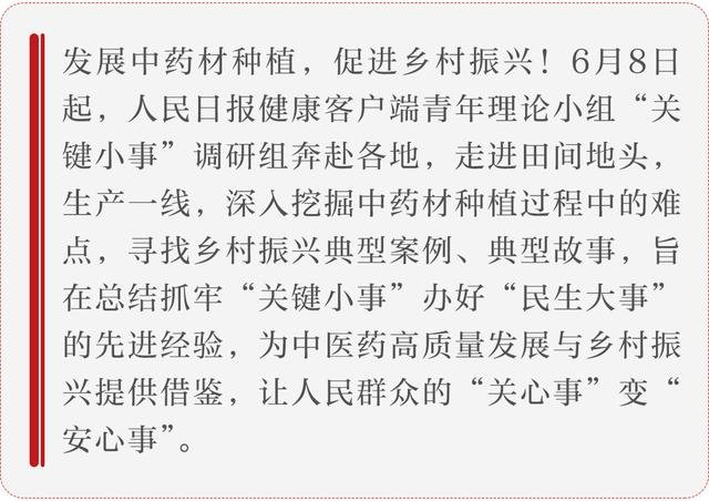 小艾草也能成就大产业。6月8日，人民日报健康客户端青年理论小组“关键小事”调研活动走进河南南阳，实地感受该市因地制宜，以艾草作为乡村振兴龙头项目，建设全国艾草种植加工基地、研发基地、交易中心……持续推进艾产业链发展壮大，为富民增收提供的强大助力。