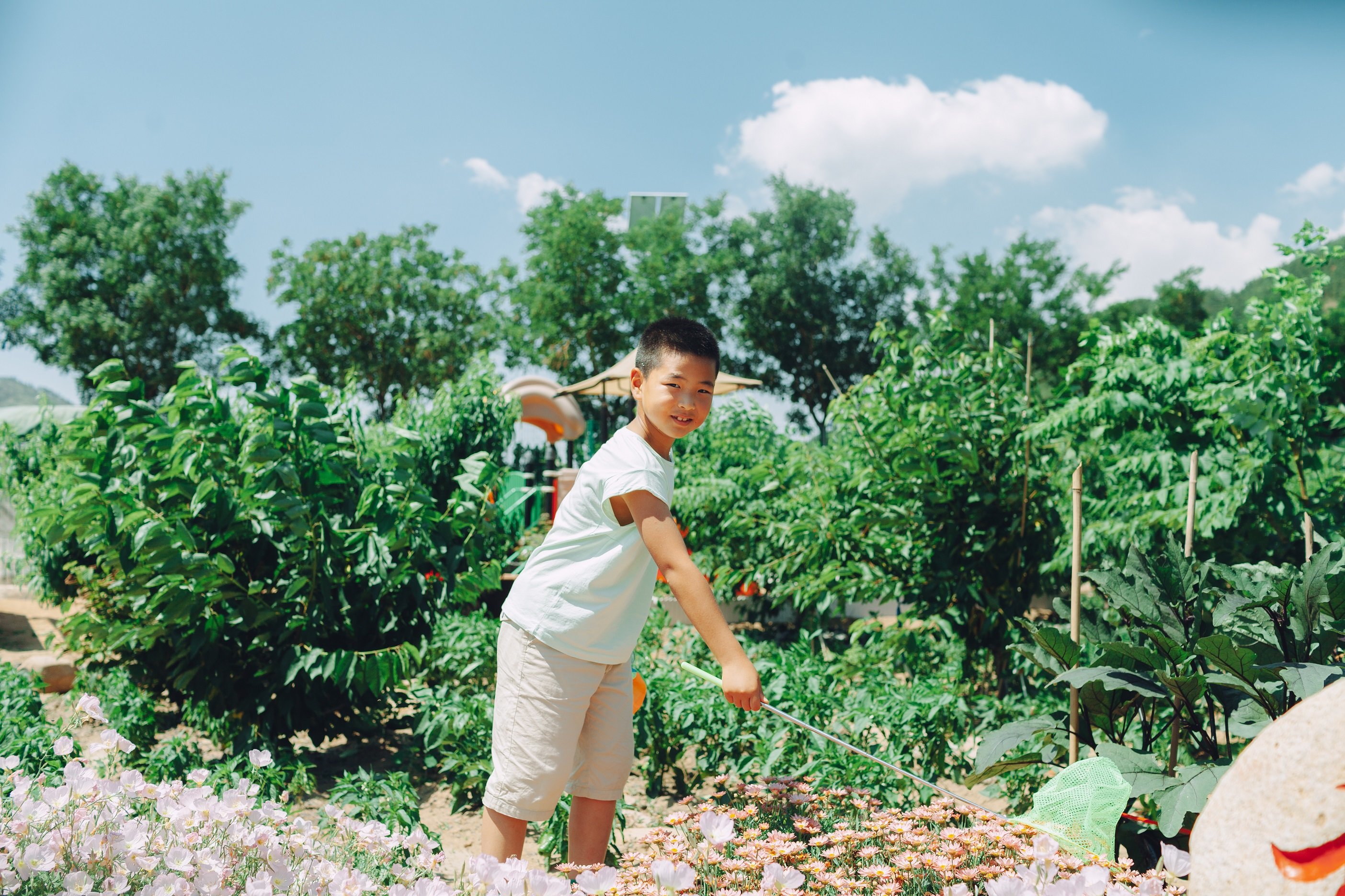 “昆虫一日营”激发沉浸式亲子互动！北宅乌衣巷乡村研学游第二期圆满结营