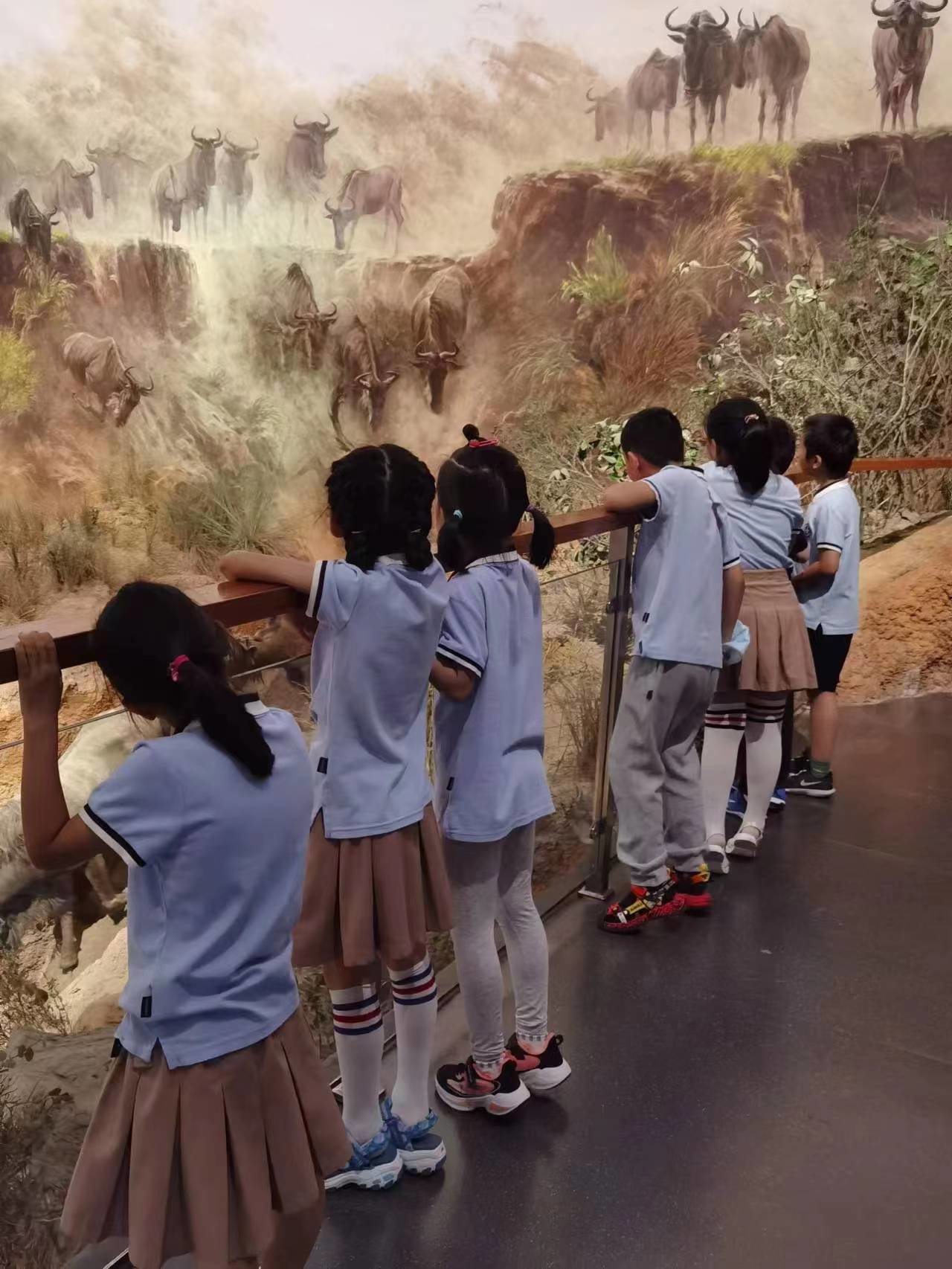 观看非洲野生动物大迁徙