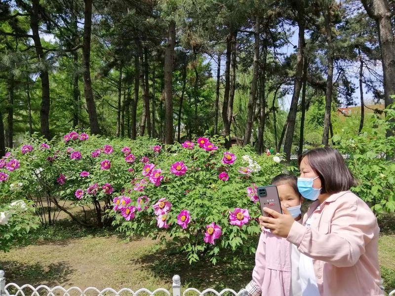 绝大部分游客都文明游园赏花拍照。（韩雪洁摄）