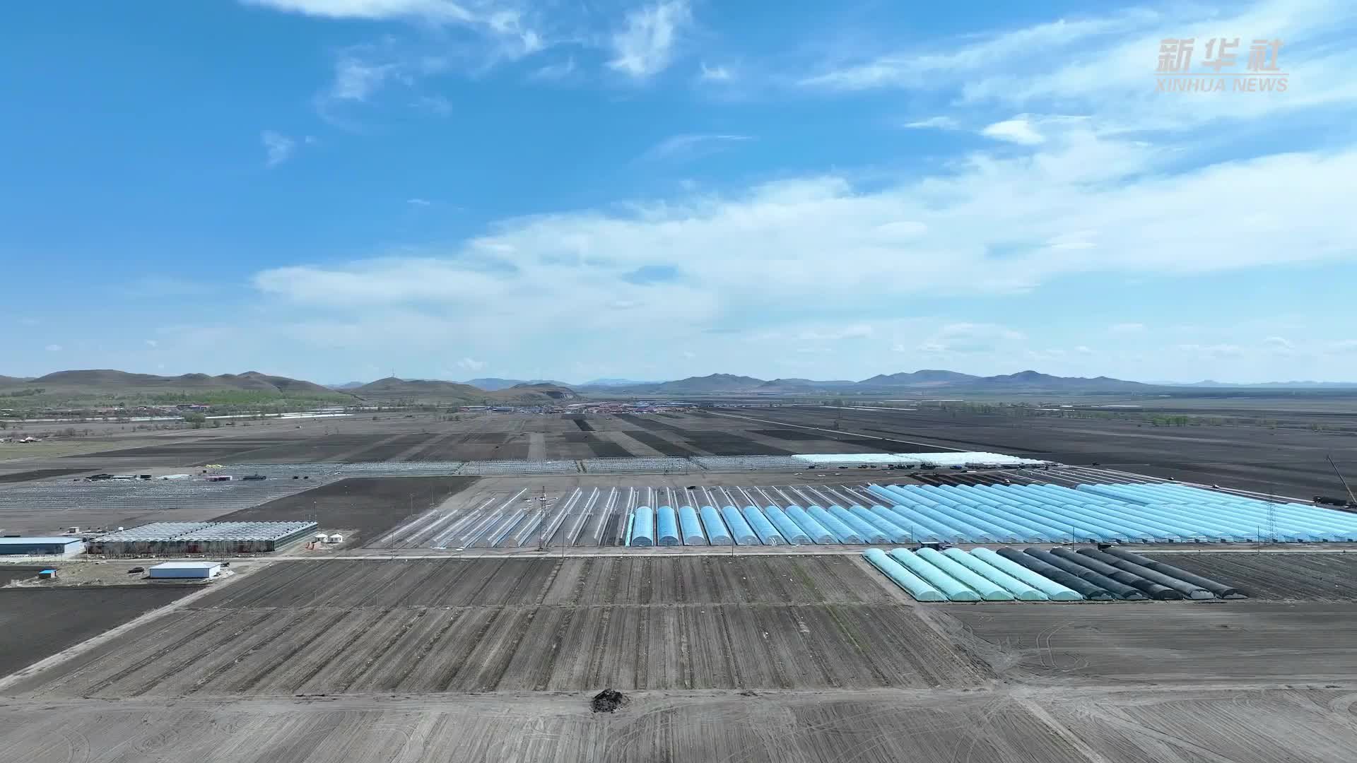 河北沽源：发展智慧农业 助力乡村振兴