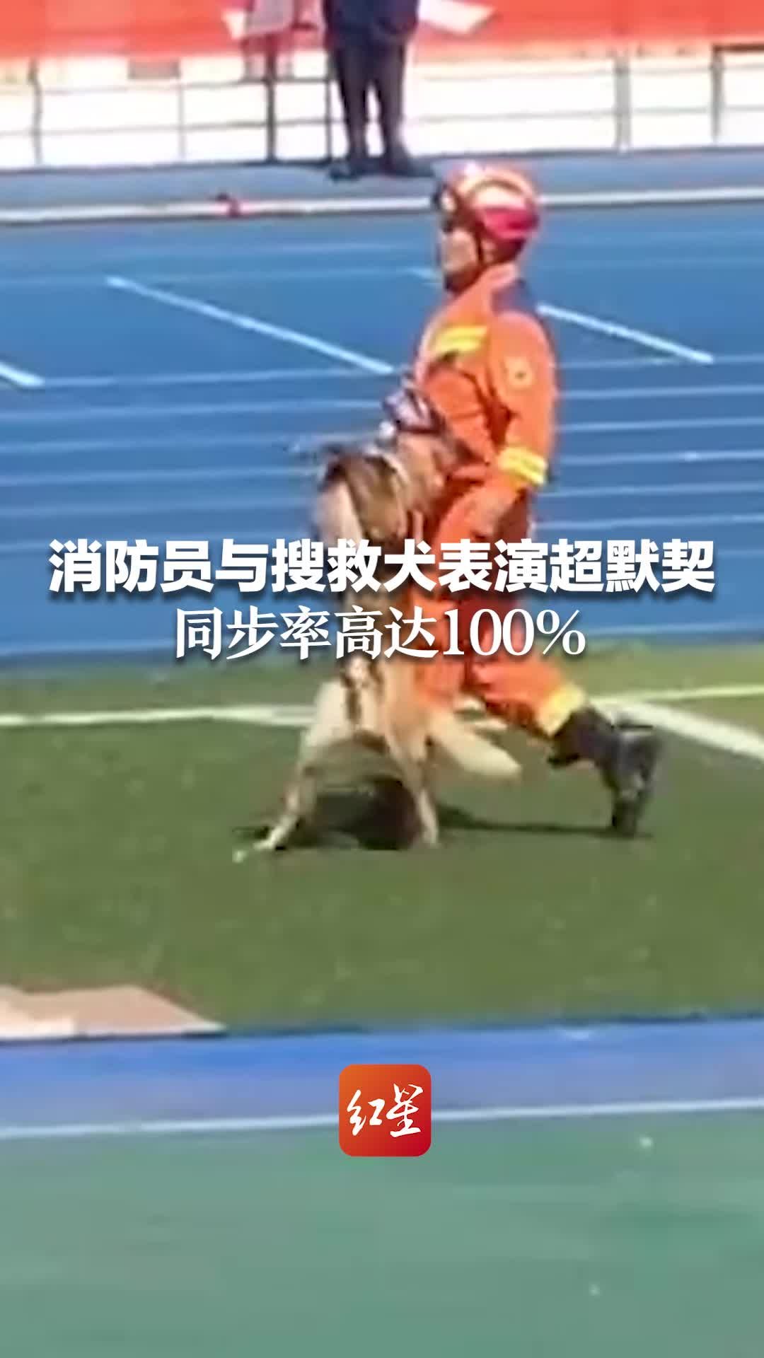 消防员与搜救犬表演超默契 同步率高达100％_凤凰网视频_凤凰网