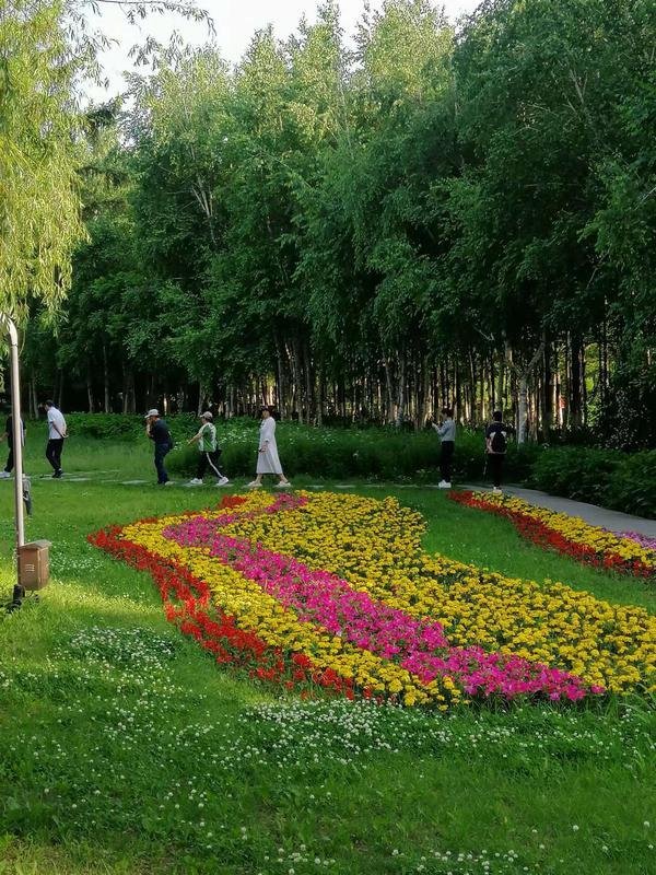 长春市百花园内花开似锦，深受人们喜爱。很多游人沿着甬道赏花。（韩雪洁摄）