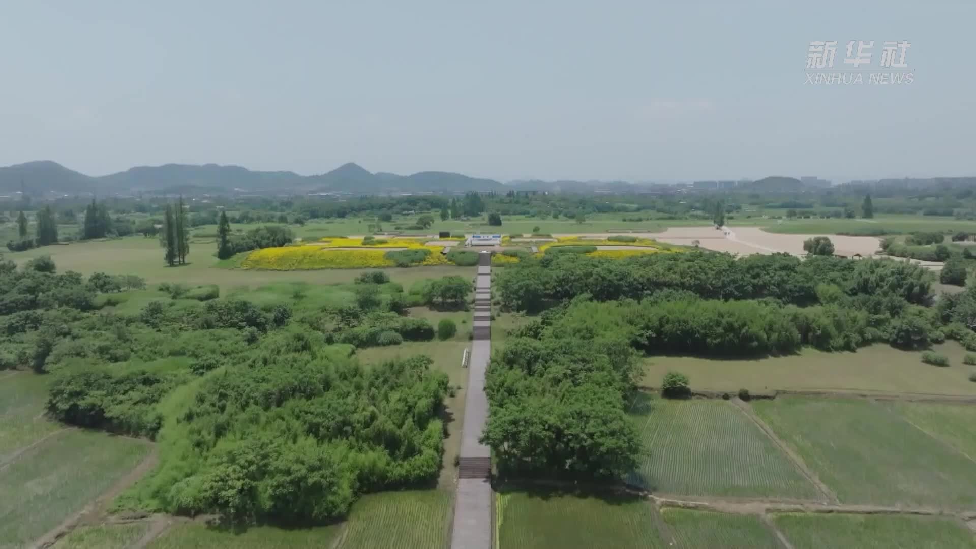 新华全媒+｜杭州亚运会火种在良渚古城遗址公园采集成功