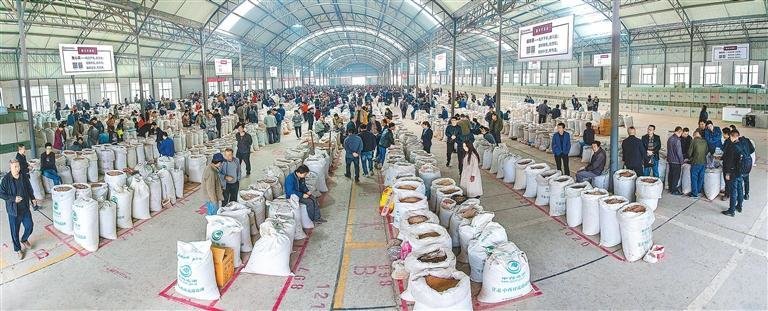 定西市中药材市场内，来自全国各地的商客进行中药材交易。新甘肃&middot;甘肃日报通讯员 李健