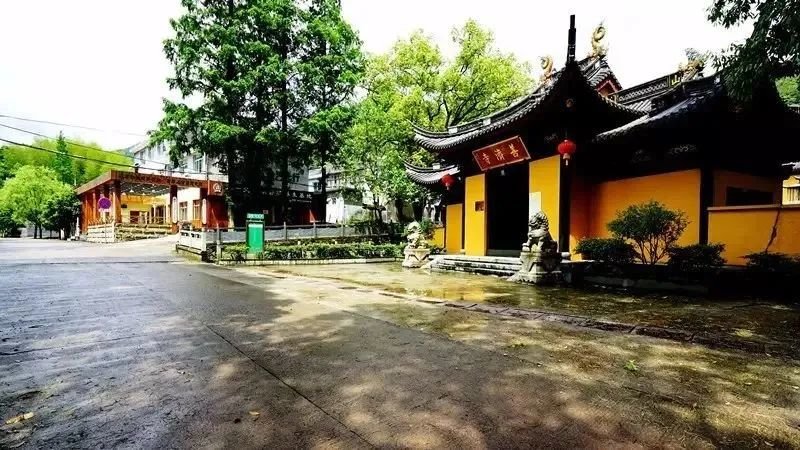 藏不住了!“浙”些小众静美乡村带你享受慢生活凤凰网宁波_凤凰网