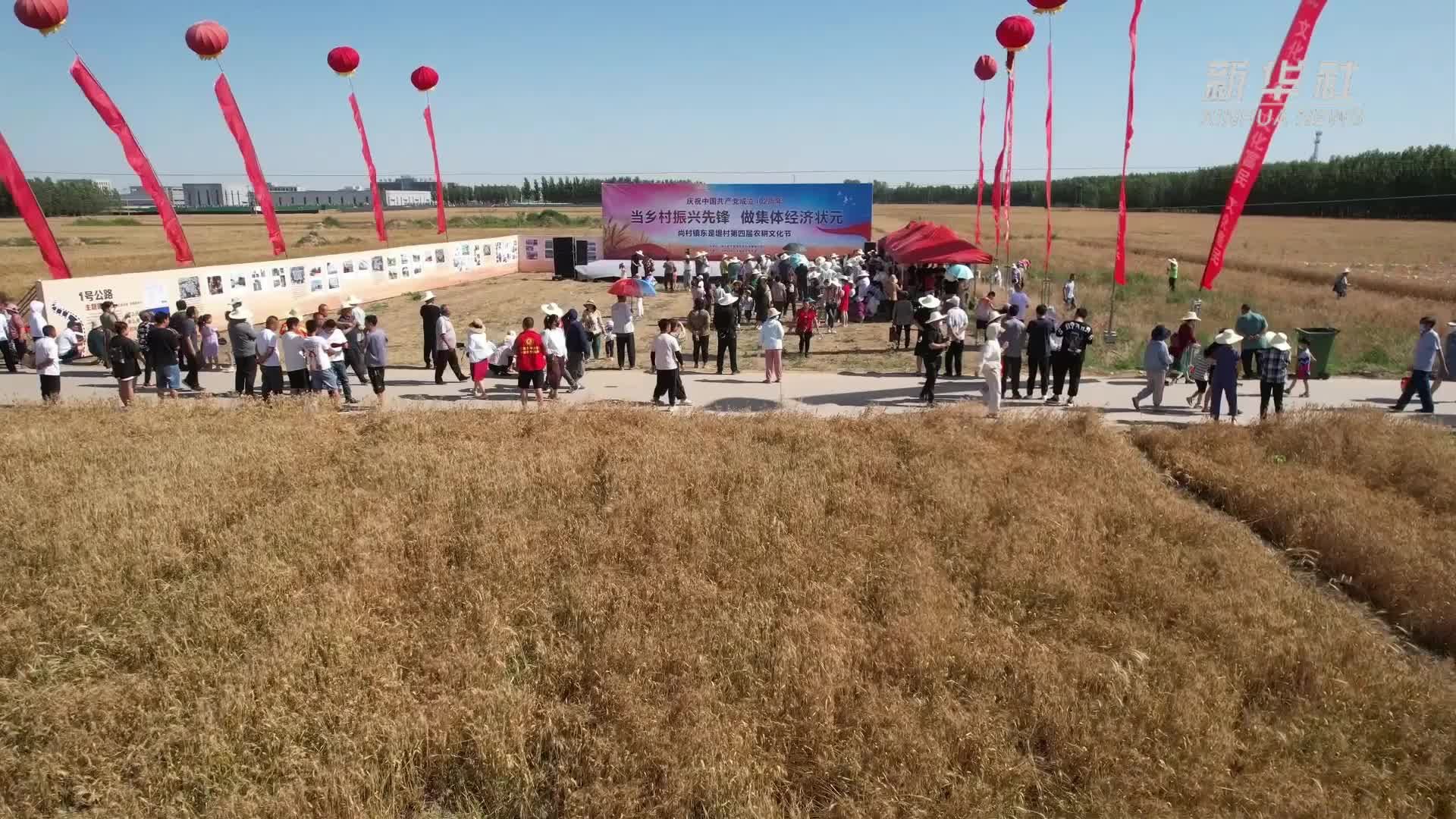 河北肃宁：富硒黑小麦产业助力乡村振兴