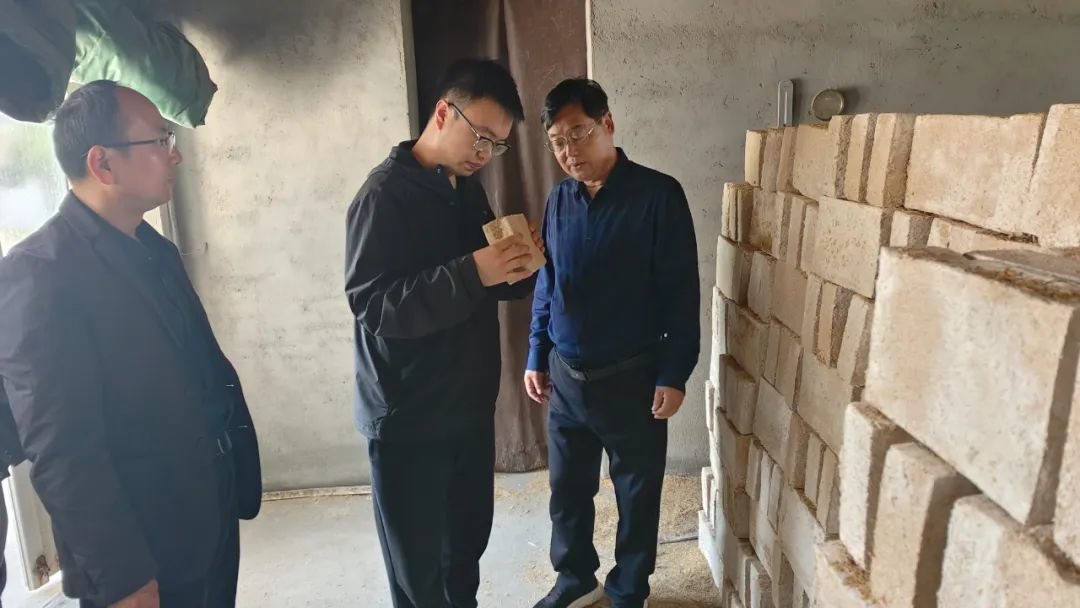 ▲乔柱博士在制曲车间对合作项目进行交流