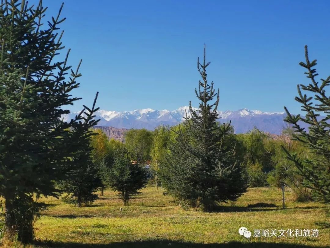 烧烤、酒吧……何不在嘉峪关开启一场星空下的露营