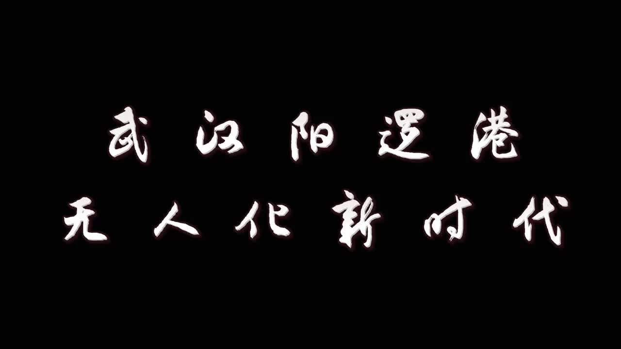 60秒看大江澎湃｜武汉阳逻港：从小渔村到长江中上游第一港