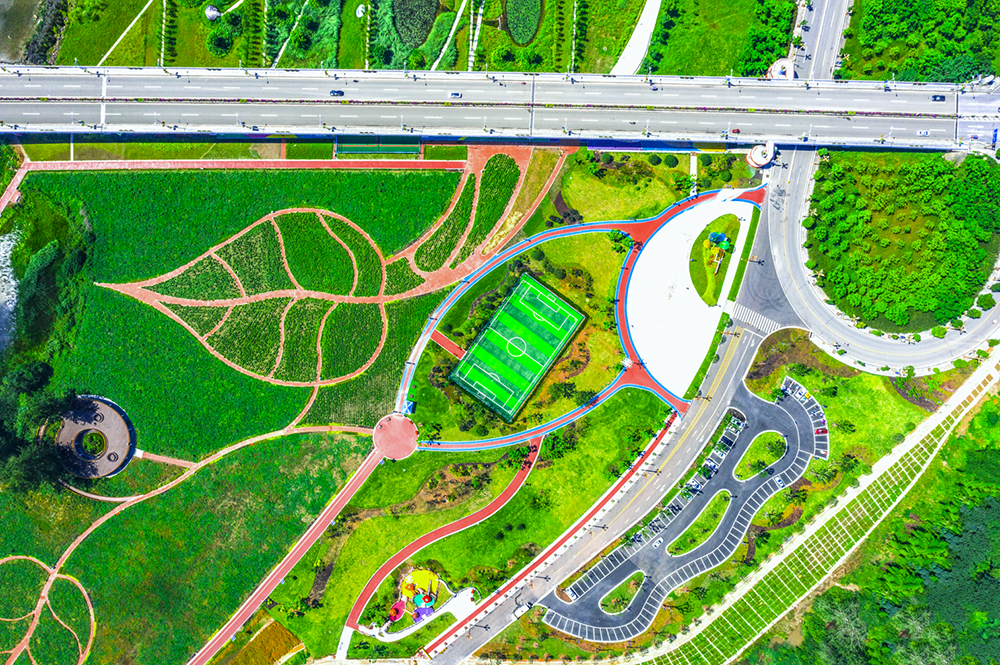 潼南涪江畔的蔬菜公园. 杨毅摄 凤凰网川渝发