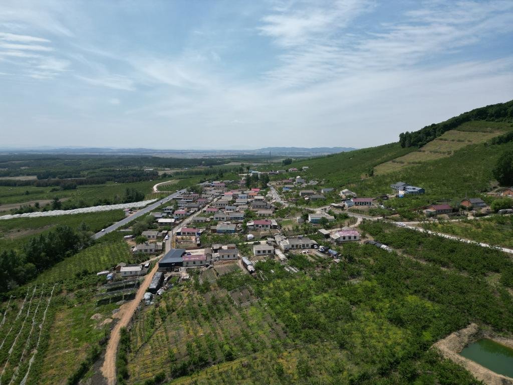 吉林省磐石市宝山乡北锅盔村的村容村貌（5月31日摄，无人机照片）。新华社记者 姜明明 摄