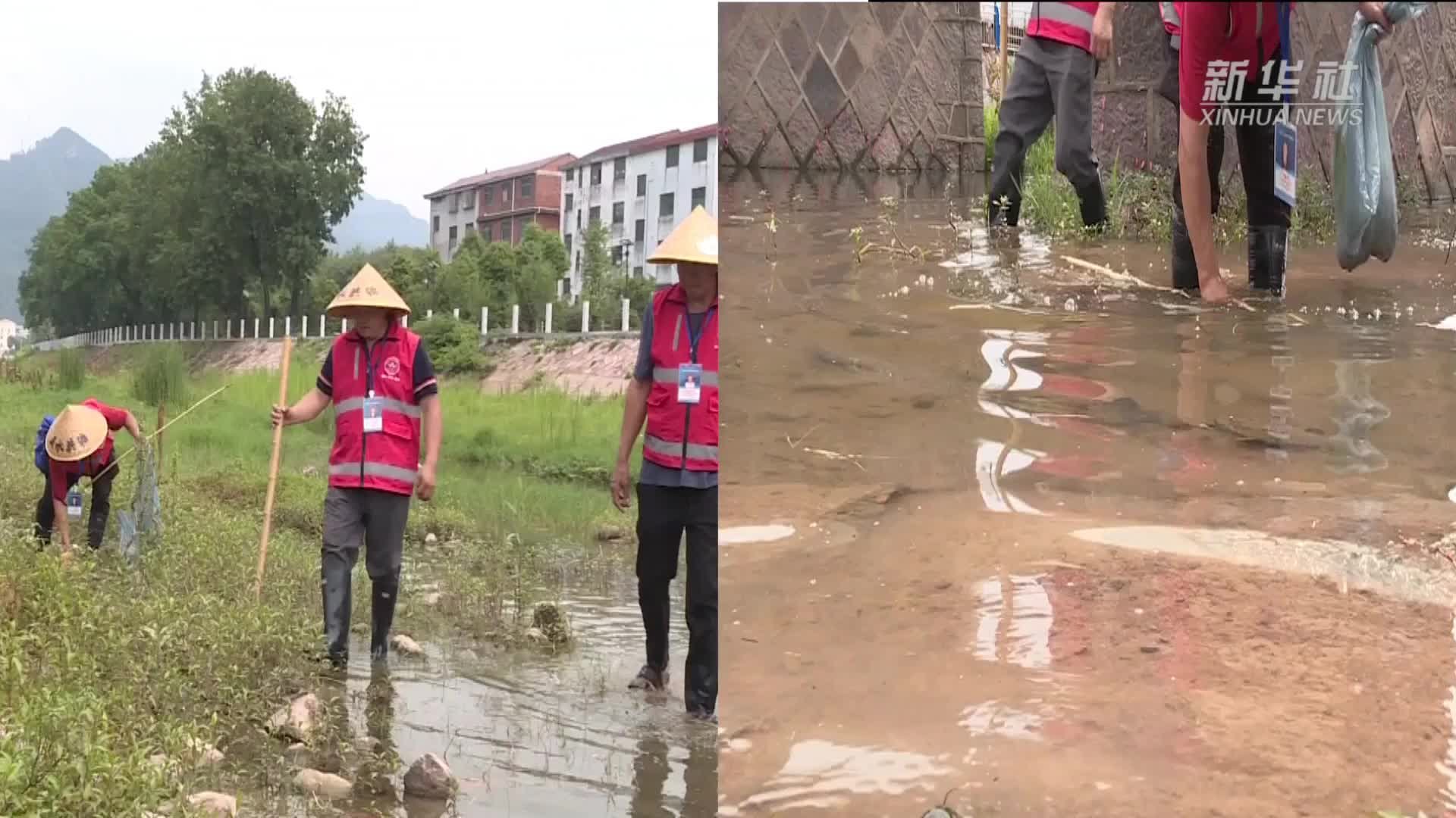 浙江义乌：“公众护水”监督员守护山河溪水