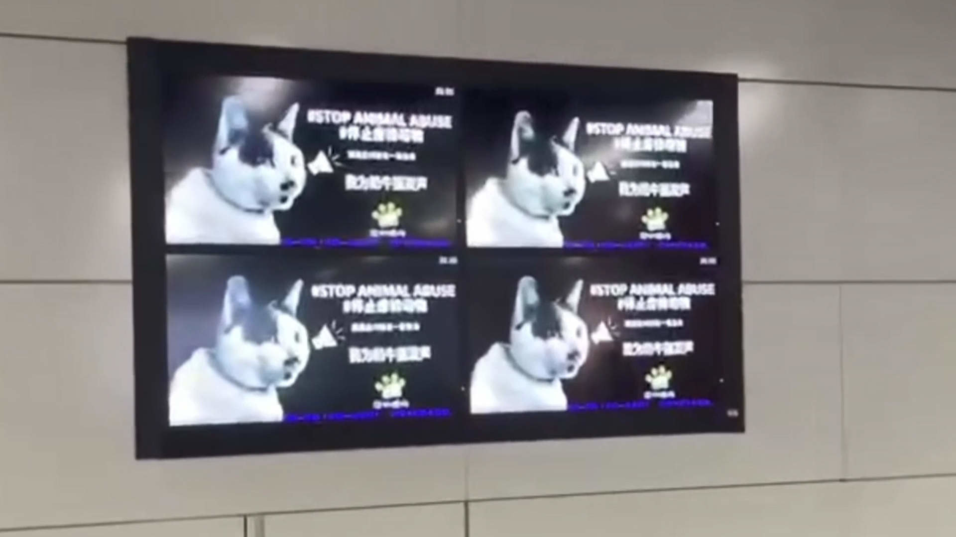 深圳地铁投放反虐动物公益广告遭投诉，反对者称“老百姓深受猫狗之苦”，官方回应“没接到下架通知”