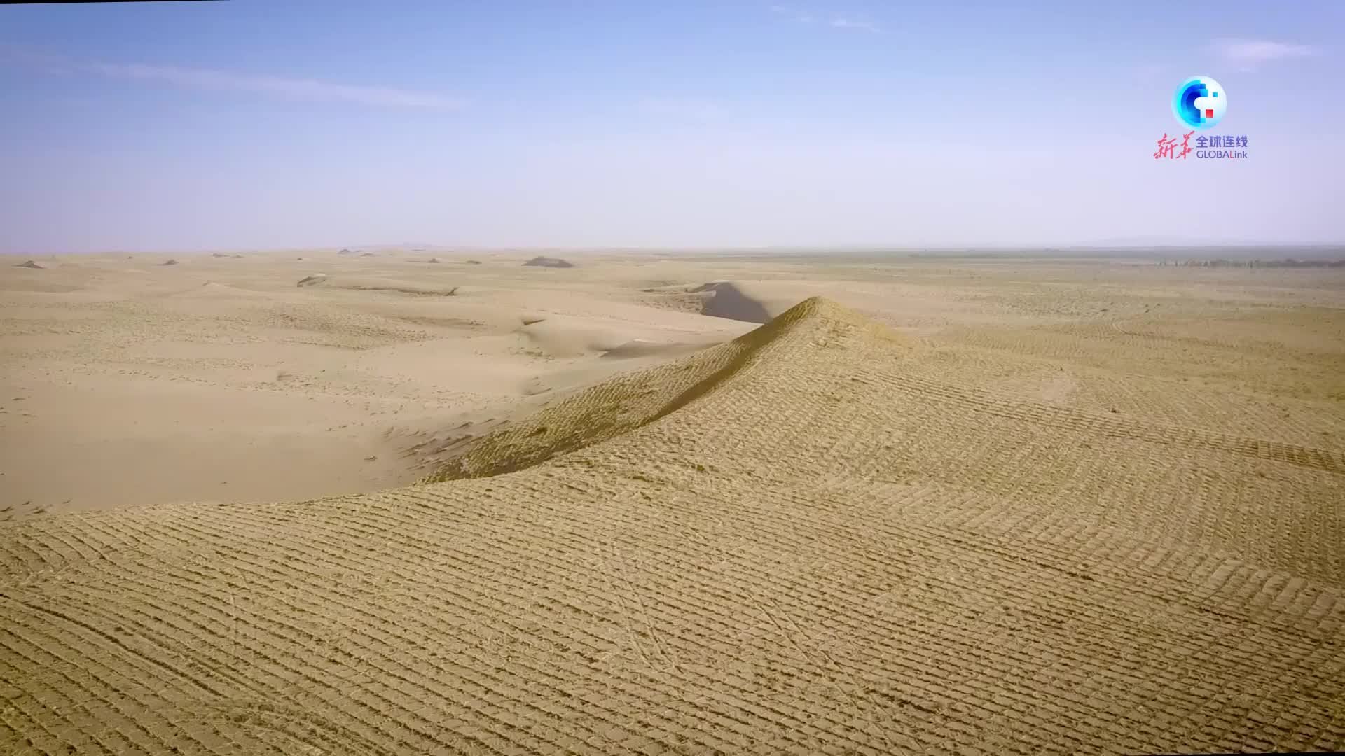 全球连线｜多国青年在甘肃学习荒漠化防治和生态修复经验