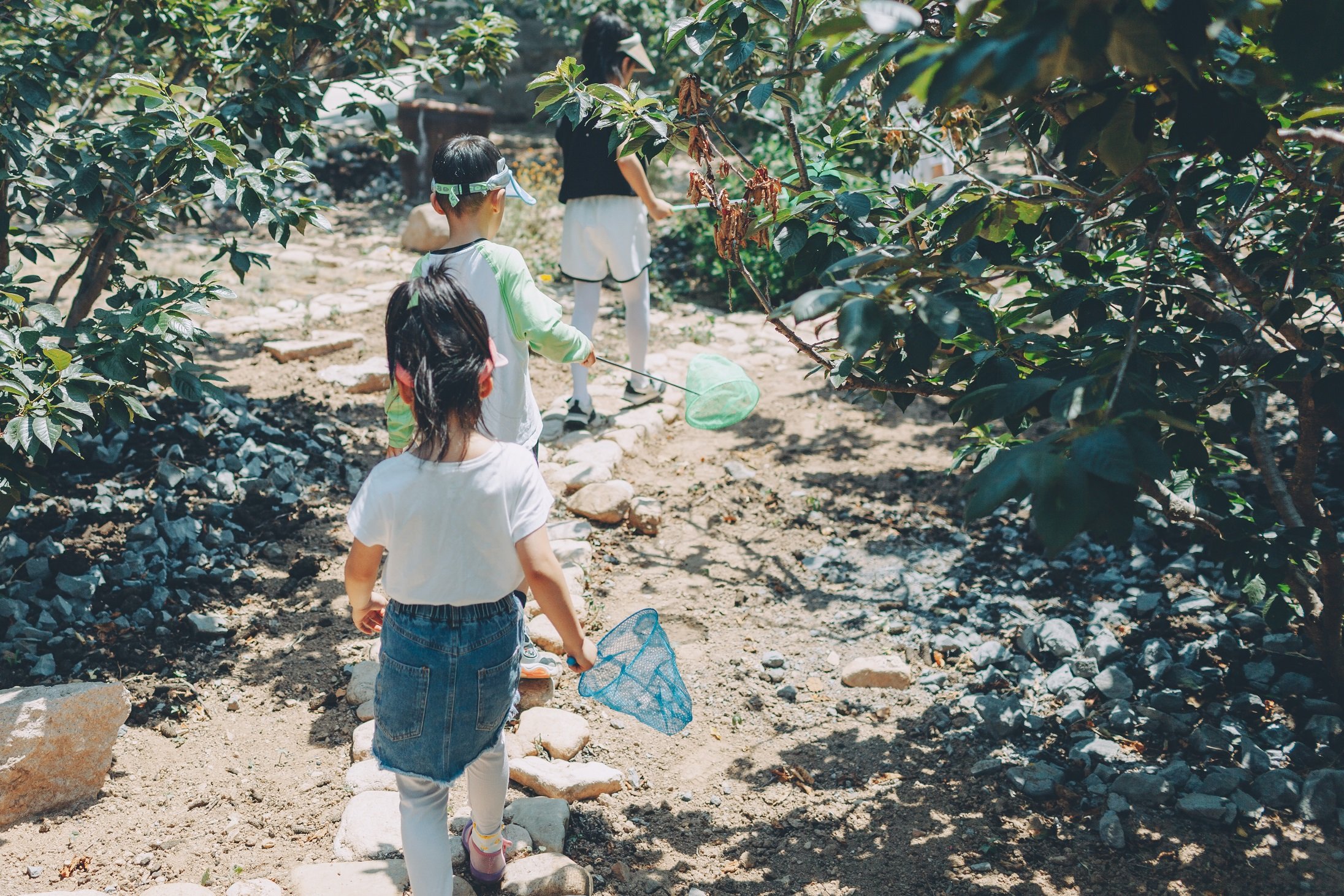 “昆虫一日营”激发沉浸式亲子互动！北宅乌衣巷乡村研学游第二期圆满结营