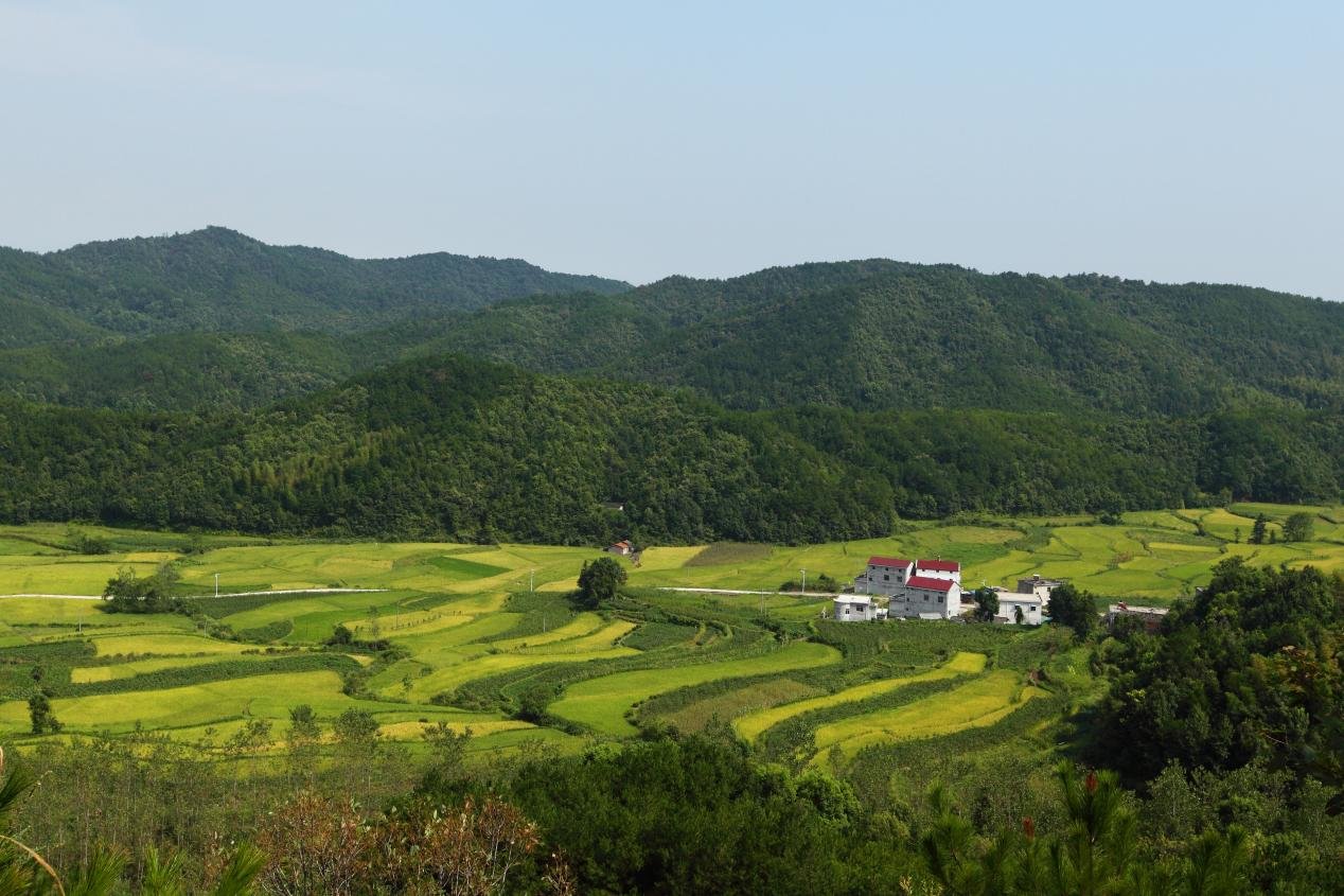 安徽太湖县城西乡图片