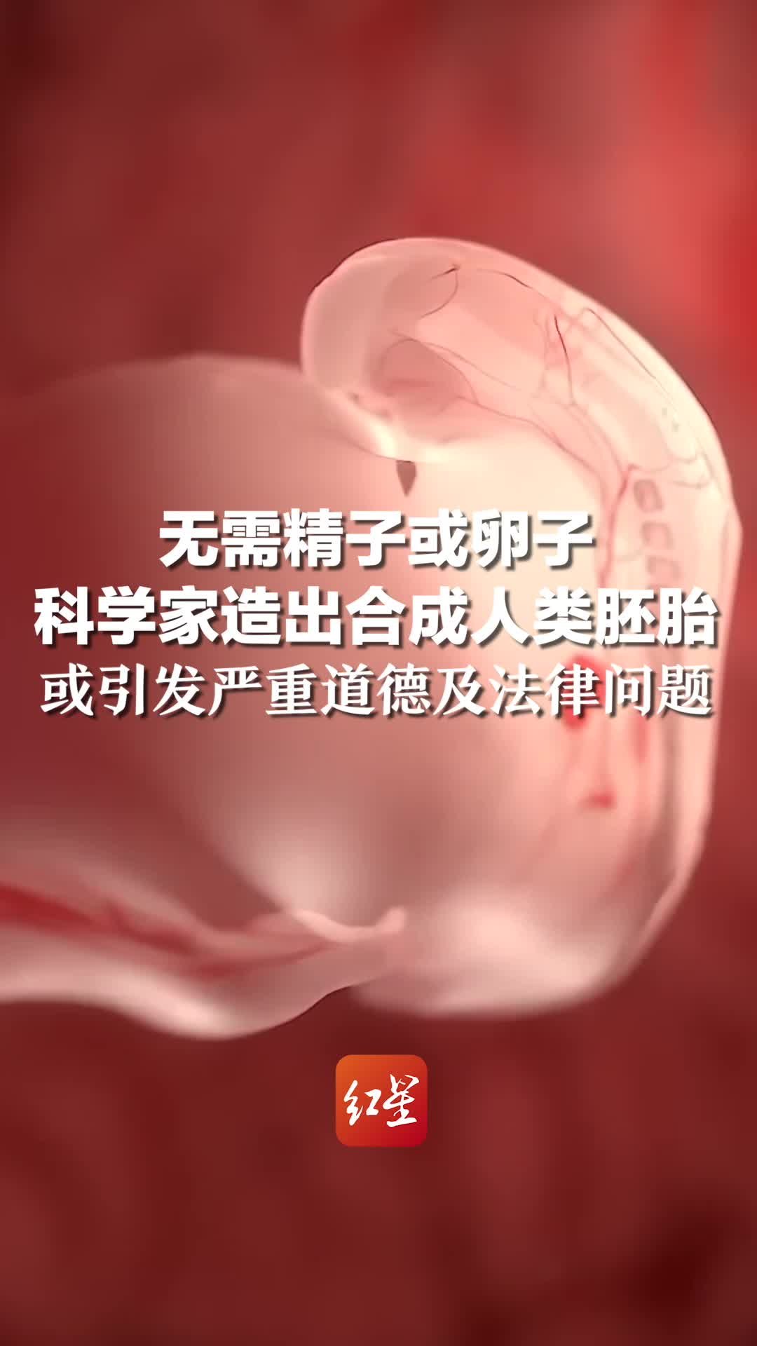 无需精子或卵子 科学家造出合成人类胚胎，或引发严重道德及法律问题