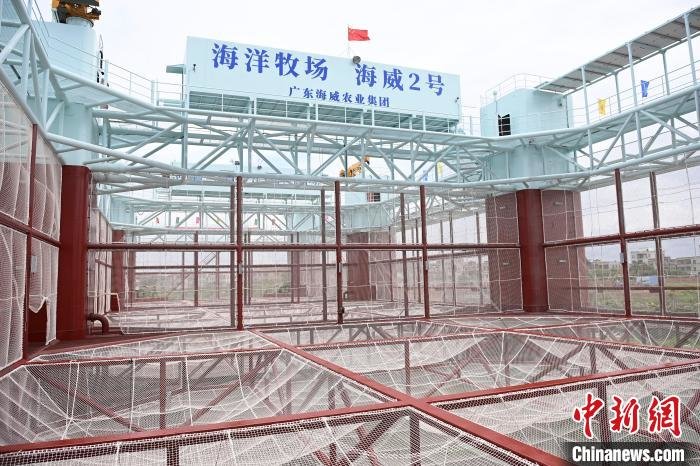 （高质量发展调研行）广东兴起“海洋牧场”“海上巨无霸”一个养殖期可收百万斤鱼获