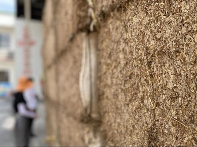 陈放的艾草堆。李桂兰摄